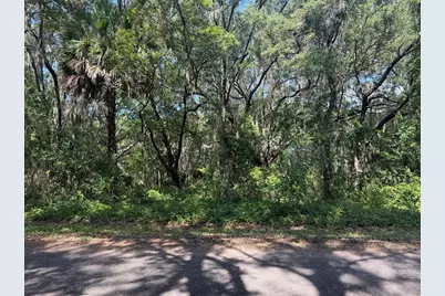 Tbd Guava Terrace, Ocklawaha, FL 32179 - Photo 8