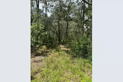 5730 SE County Road 337, Morriston, FL 32668 - Photo 16