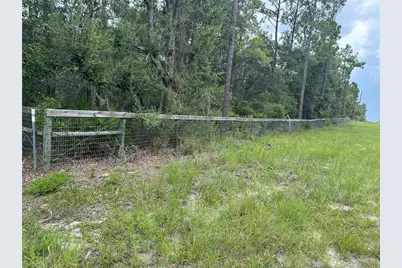 5730 SE County Road 337, Morriston, FL 32668 - Photo 8