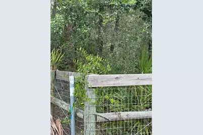 5730 SE County Road 337, Morriston, FL 32668 - Photo 6