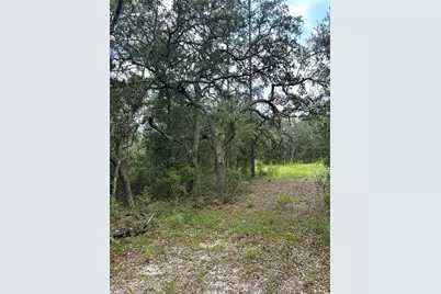5730 SE County Road 337, Morriston, FL 32668 - Photo 20