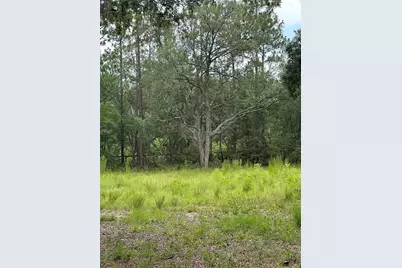 5730 SE County Road 337, Morriston, FL 32668 - Photo 18