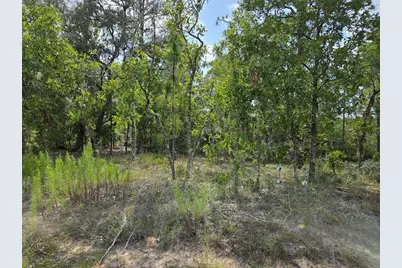 0000 NE 150th Avenue, Williston, FL 32696 - Photo 2