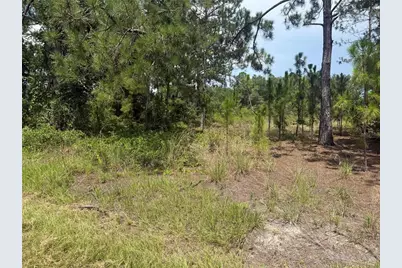 Locust CRS, Ocala, FL 34472 - Photo 2