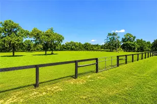 16051 SW 30th Ln, Ocala, FL 34481 - Photo 58
