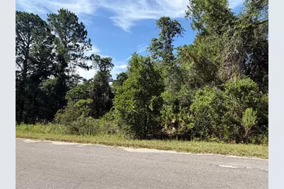 Tbd Malauka Radial, Ocklawaha, FL 32179 - Photo 6