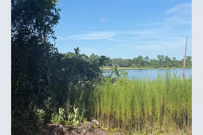 Tbd Malauka Radial, Ocklawaha, FL 32179 - Photo 1