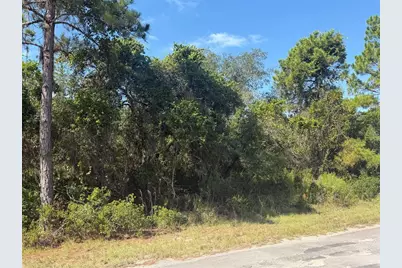 Tbd Malauka Radial, Ocklawaha, FL 32179 - Photo 4