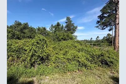 Tbd Malauka Radial, Ocklawaha, FL 32179 - Photo 10