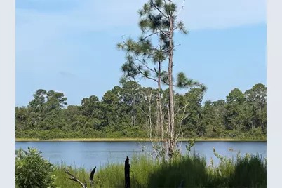 Tbd Malauka Radial, Ocklawaha, FL 32179 - Photo 2