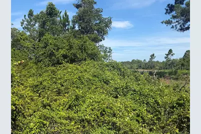 Tbd Malauka Radial, Ocklawaha, FL 32179 - Photo 8