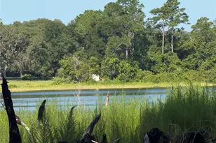 Tbd Malauka Radial, Ocklawaha, FL 32179 - Photo 1