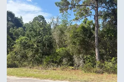 Tbd Malauka Radial, Ocklawaha, FL 32179 - Photo 6