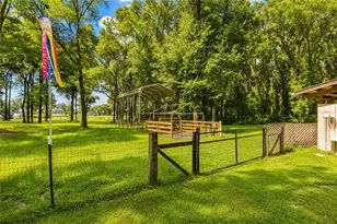 15970 NW 53rd St, Morriston, FL 32668 - Photo 58
