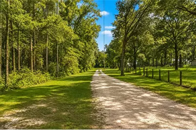 15970 NW 53rd Street, Morriston, FL 32668 - Photo 8