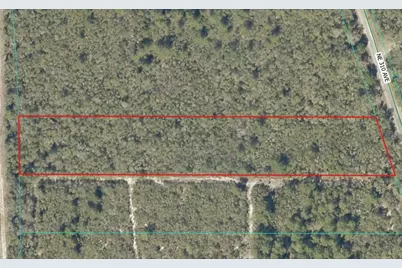 Ne 310th Avenue, Fort Mc Coy, FL 32134 - Photo 2