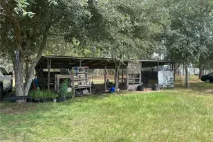 14050 SE 10 St, Williston, FL 32696 - Photo 10