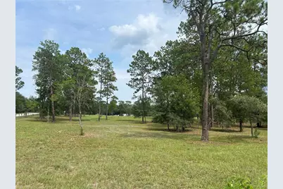 14050 SE 10th Street, Williston, FL 32696 - Photo 16