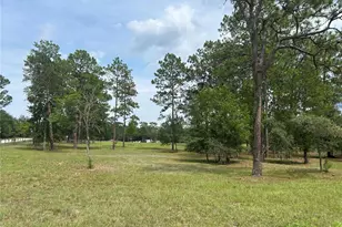 14050 SE 10 St, Williston, FL 32696 - Photo 16