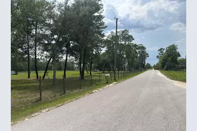 14050 SE 10th Street, Williston, FL 32696 - Photo 14