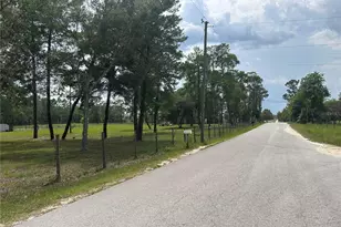 14050 SE 10 St, Williston, FL 32696 - Photo 14
