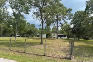 14050 SE 10 St, Williston, FL 32696 - Photo 12