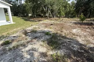 8565 SW 125th Ct Rd, Dunnellon, FL 34432 - Photo 16