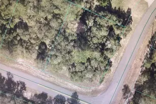 0 SW 29 Circle, Ocala, FL 34473 - Photo 1