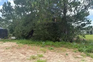 6878 SW 179th Ave Rd, Dunnellon, FL 34432 - Photo 10
