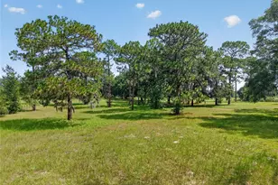 7555 SW 77 Pl, Ocala, FL 34476 - Photo 10
