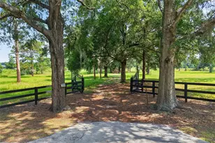 7555 SW 77 Pl, Ocala, FL 34476 - Photo 8