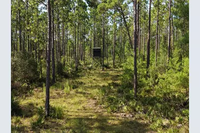 375 Buck Springs Road, Palatka, FL 32177 - Photo 6