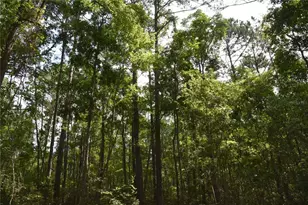375 Buck Springs Rd, Palatka, FL 32177 - Photo 66