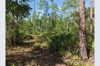 375 Buck Springs Road, Palatka, FL 32177 - Photo 52