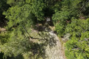 375 Buck Springs Rd, Palatka, FL 32177 - Photo 70