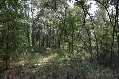 375 Buck Springs Road, Palatka, FL 32177 - Photo 56