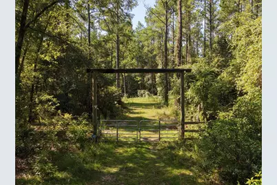 375 Buck Springs Road, Palatka, FL 32177 - Photo 2