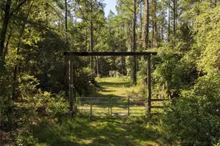 375 Buck Springs Rd, Palatka, FL 32177 - Photo 2