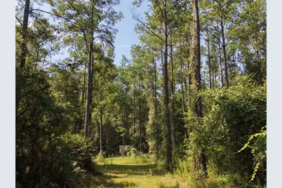 375 Buck Springs Road, Palatka, FL 32177 - Photo 62
