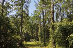 375 Buck Springs Rd, Palatka, FL 32177 - Photo 62
