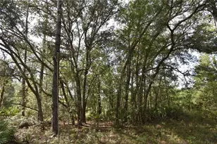 375 Buck Springs Rd, Palatka, FL 32177 - Photo 32