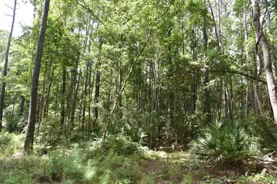 375 Buck Springs Road, Palatka, FL 32177 - Photo 68