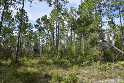 375 Buck Springs Road, Palatka, FL 32177 - Photo 60