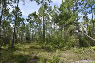 375 Buck Springs Rd, Palatka, FL 32177 - Photo 60