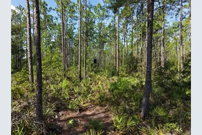 375 Buck Springs Road, Palatka, FL 32177 - Photo 28