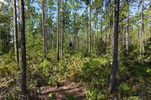 375 Buck Springs Rd, Palatka, FL 32177 - Photo 28