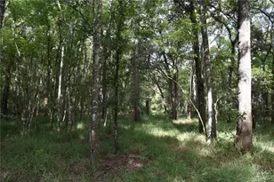 375 Buck Springs Rd, Palatka, FL 32177 - Photo 58