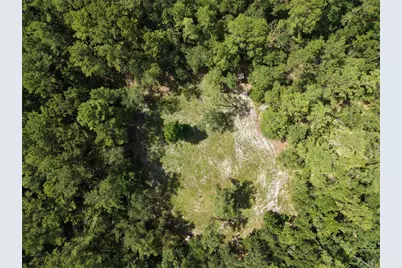 375 Buck Springs Road, Palatka, FL 32177 - Photo 72