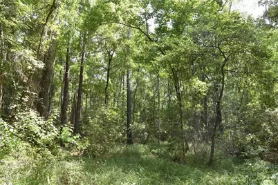 375 Buck Springs Road, Palatka, FL 32177 - Photo 40