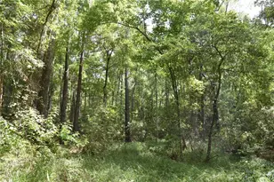 375 Buck Springs Rd, Palatka, FL 32177 - Photo 40
